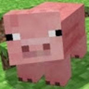 Meet your Posher, Lindsay